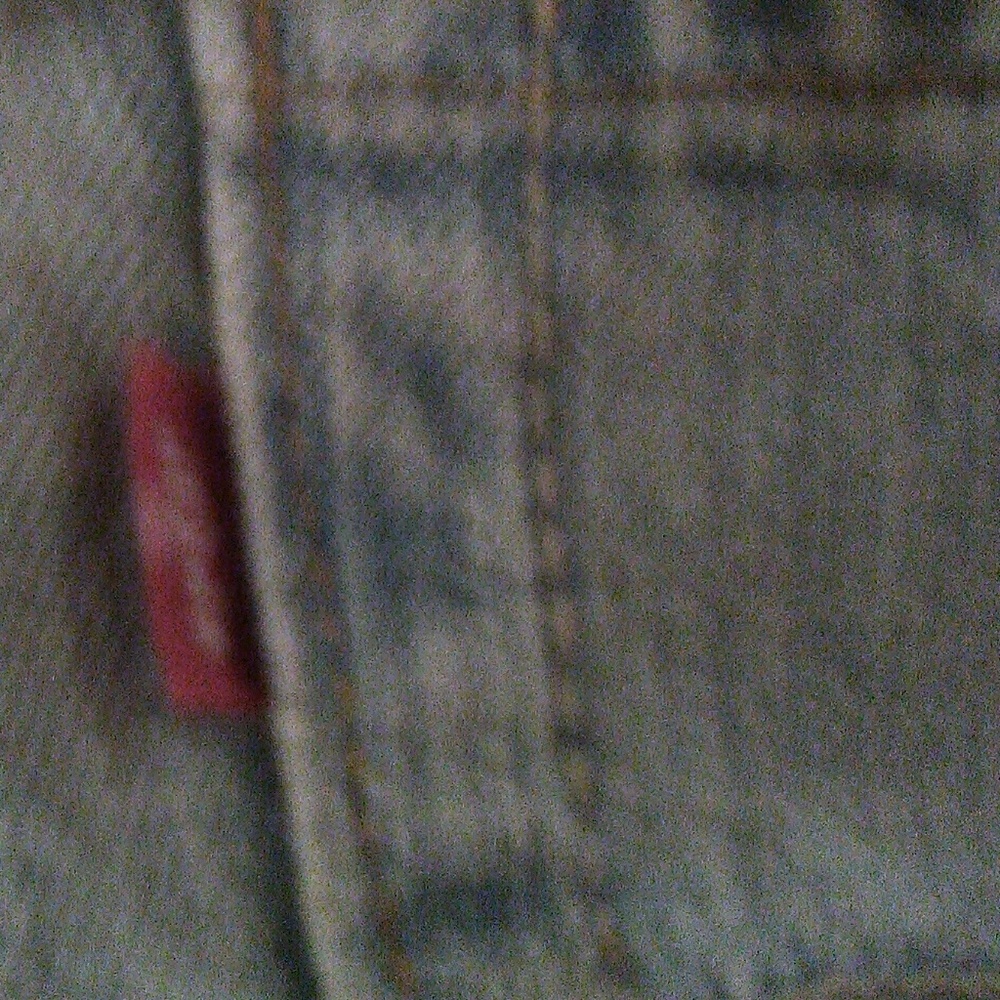 Shorts - Picture 3 of 8